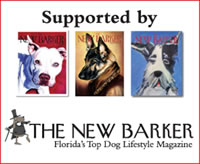 The New Barker